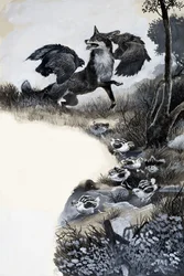 Fox sotto attacco