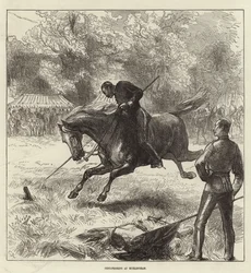 Copertina del Illustrated London News, 12 giugno 1875
