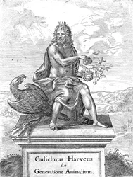 Frontespizio di De Generatione Animalium di William Harvey, pubblicato nel 1651