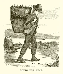Raccolta della torba