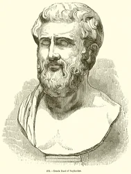 Busto greco di Sofocle