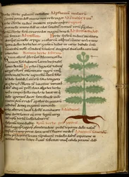 Harley 4986 fol.20 L