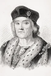 Enrico VII d