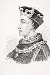 Enrico V d