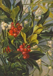 Agrifoglio e vischio (litografia a colori)