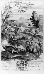 Caccia al cinghiale, da 