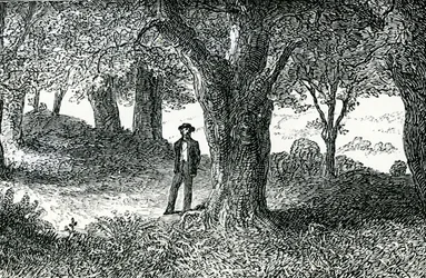 Illustrazione da 