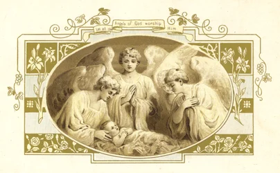 Illustrazione per L