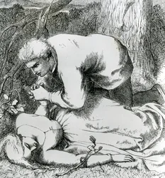 Illustrazione da 