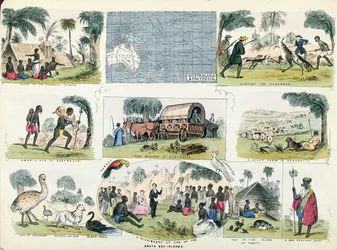 Illustrazioni dell