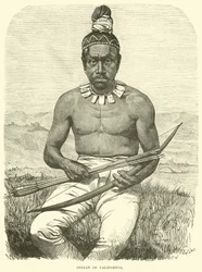 Indiano della California