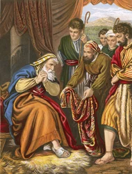Giacobbe e il mantello dai molti colori