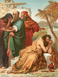 Giobbe e i suoi amici