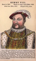Re Enrico VIII