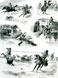 Vita in Manitoba, 1877