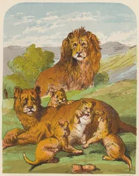 Leoni