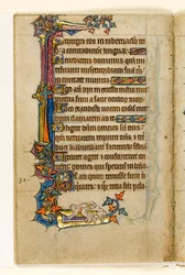 MS 1-2005, fol. 45v: Una scimmia che guarda nel sedere di un uomo, decorazione marginale dal Salterio di Macclesfield, Uso di Sarum, East Anglia, c.1330