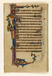 MS 1-2005, fol. 80v: Un musicista nudo, decorazione marginale dal Salterio di Macclesfield, Uso di Sarum, East Anglia, c.1330