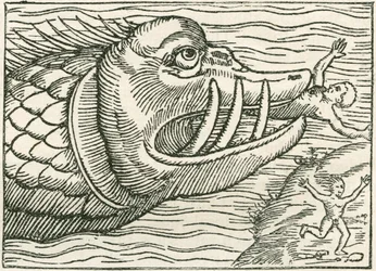 Uomo mangiato da un serpente marino. Illustrazione trovata sul margine di una mappa preparata da Olaus Magnus