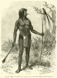 Indiano Mesaya del fiume Japura, uno dei tributari dell