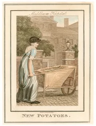 Ospedale del Middlesex. Patate nuove