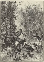 La spedizione di soccorso di Emin Pasha di Mr H. M. Stanley