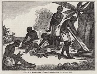 Nativi del Madagascar che preparano il pane dalla radice di manioca