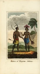 Nativi della Virginia, America