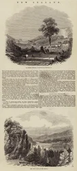 Nuova Zelanda (incisione)