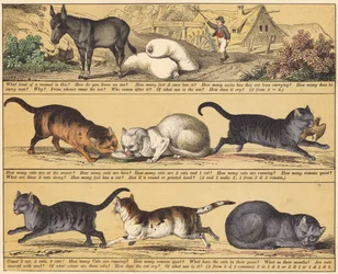 Pagina dal Nuovo Libro Illustrato (litografia a colori)