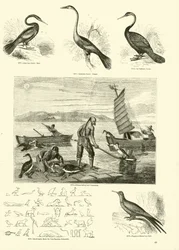 Pagina dal Museo Pittoresco della Natura Animata