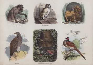 Pagina dal Libro Illustrato Attraente