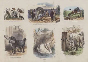 Pagina dal Libro Illustrato Attraente