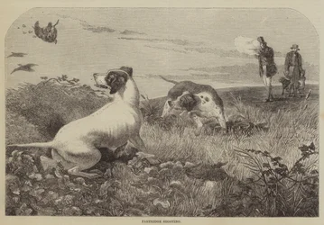 Caccia alla pernice (incisione)