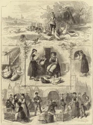 Pâté de foie gras a Strasburgo