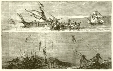 Pesca delle Perle
