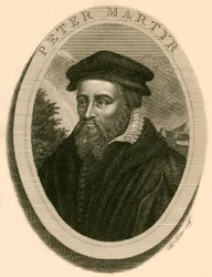 Pietro Martire