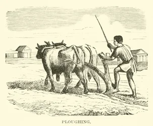 Aratura