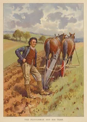 Contadino e il suo team