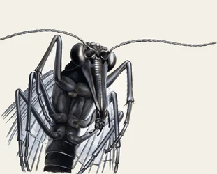 Predatori del passato