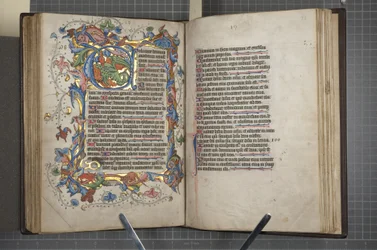 Salterio con calendario Sarum, Fol 72 verso fol 73 recto