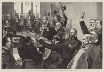 Rielezione di Mr Parnell come leader del Partito Irlandese, 25 novembre 1890, nella Sala del Comitato n. 15, Camera dei Comuni