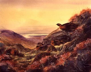 Pernici scozzesi nella brughiera, ca. 1890