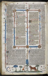 Uomo che attacca un bue, dai Decretali di Smithfield (Decretali di Gregorio IX) c.1340