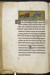 Topi che inseguono un gatto, da Bestiario, Lapidario, 2° quarto del XIII secolo (pergamena)