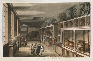 Menagerie reale, Exeter (Change Exchange), Strand. Seleziona vedute di Londra: con schizzi storici e descrittivi di alcuni degli edifici pubblici più interessanti / compilato e organizzato da J.B. Papworth. John Buonarotti Papworth Londra