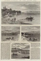 Pesca al salmone sul fiume Tay