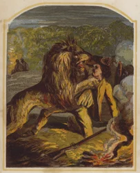 Il missionario scozzese David Livingstone attaccato da un leone in Africa