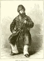 Shere Ali, Amir di Cabul