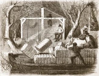 Sparare balle di cotone nella parte anteriore del battello a vapore Magnolia, illustrazione da The Illustrated London News, 1861
